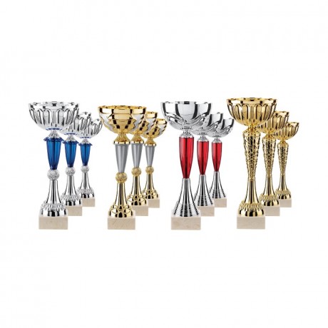 Lot de 12 coupes LT127A
