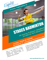 Stage d'entraînement Esprit Badminton